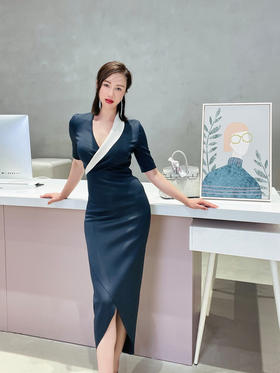 J20384523颈袖添香装新款时尚OL气质修身显瘦包臀职场装连衣裙女装J20384523T1X5