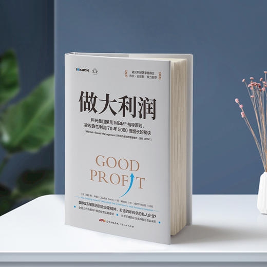 做大利润：全球蕞大私企之一如何实现利润的5000倍增长 商品图0
