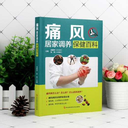 痛风居家调养保健百科田建华","张伟河北科技出版社 商品图1
