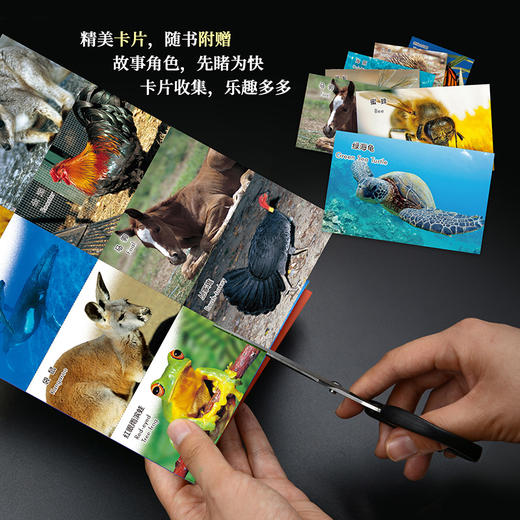 (仓发) 动物成长故事 第七辑 机智与勇气（外研社双语故事屋 套装共6册 点读版 附扫码音频）/外语教学与研究出版社/[澳]丽贝卡·约翰逊(Rebecca Johnson)/9787521315950 商品图7