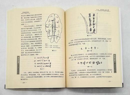 云南文库稀缺本：《异体诗浅说》，16开平装，吴积才著，云南人民出版社2016年版，定价70，售价21元，非偏远地区包邮。品相9成。

“异体诗”或“杂体诗” ，是指人们还不太熟悉的嵌字诗、藏头诗、连珠 商品图11