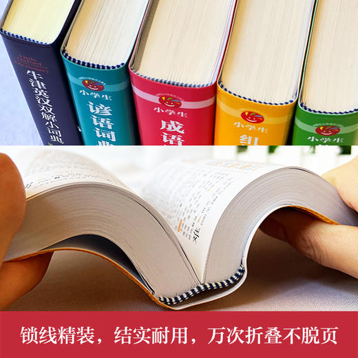 小学生多功能工具书套装(全新升级版＋赠《易错易混字词一本通》同步教材) 商品图3