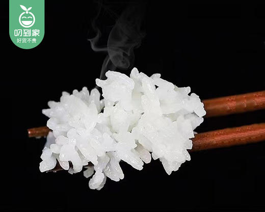 龙乾五常大米（稻花香2号）/1包（5kg）生产日期：11月12日左右 商品图4