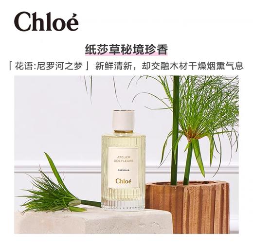 Chloe蔻依克洛伊仙境花园木兰诗语北国雪松马鞭草纸莎草女士香水 商品图5