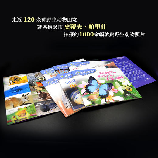 (仓发) 动物成长故事 第七辑 机智与勇气（外研社双语故事屋 套装共6册 点读版 附扫码音频）/外语教学与研究出版社/[澳]丽贝卡·约翰逊(Rebecca Johnson)/9787521315950 商品图4