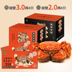 良仁正品阳澄湖大闸蟹尊享四对装雄蟹/3.0两/4只/雌蟹/2.0两/4只