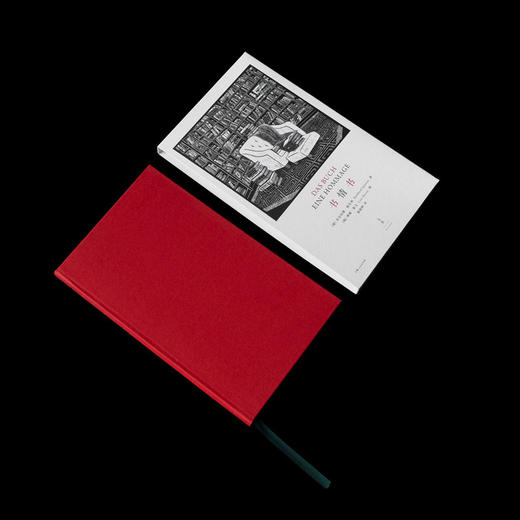 (仓发) 书情书/上海人民出版社/[德],布克哈德·施皮南（Burkhard,Spinnen）,,，,[德],琳娜·霍文（Line/9787208162464 商品图5