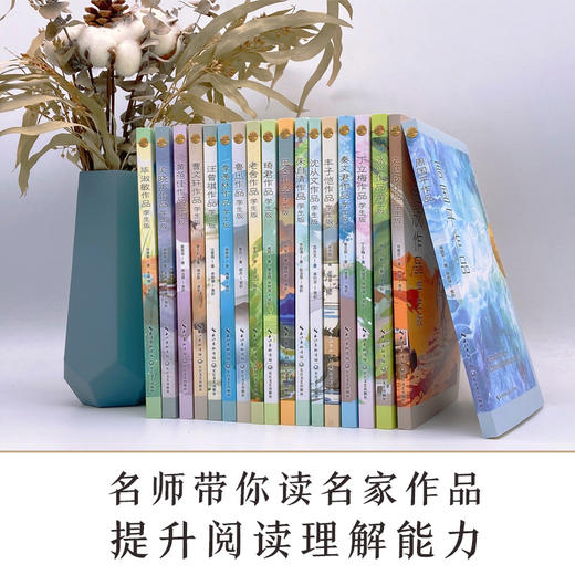 丁立梅作品 学生版 商品图0