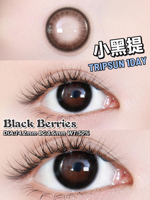 日抛 Tripsun 小黑提 直径14.2mm 0-800度无525/575 商品图13