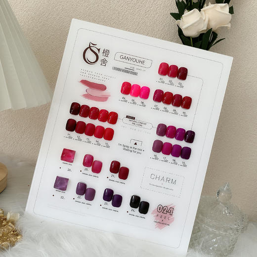 CS【秒杀价】梅子火龙果24色 商品图6