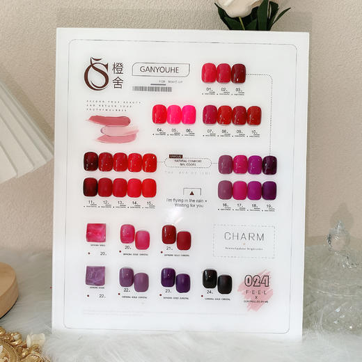 CS【秒杀价】梅子火龙果24色 商品图1