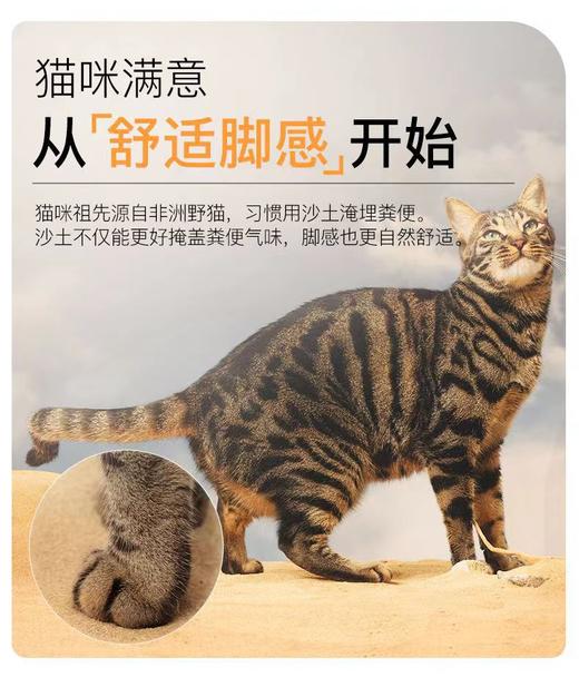Toptrees小星球猫砂猫咪矿石混合型膨润土活性炭除臭猫砂4kg 商品图2