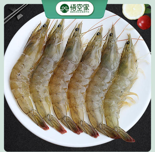 青岛大虾4050   09.20 商品图0