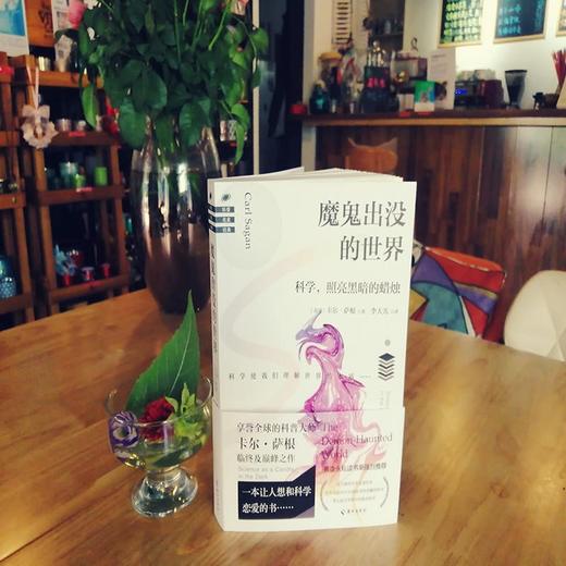 魔鬼出没的世界（在谣言风行的年代，我们更要像科学家一样思考） 商品图3