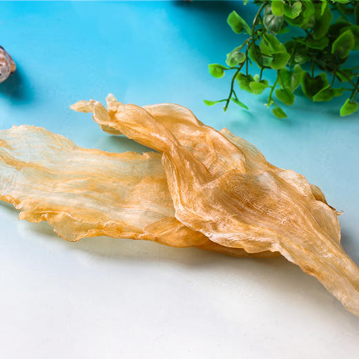 【蔡府甄选 干花胶】大北海鱼胶200g 商品图1