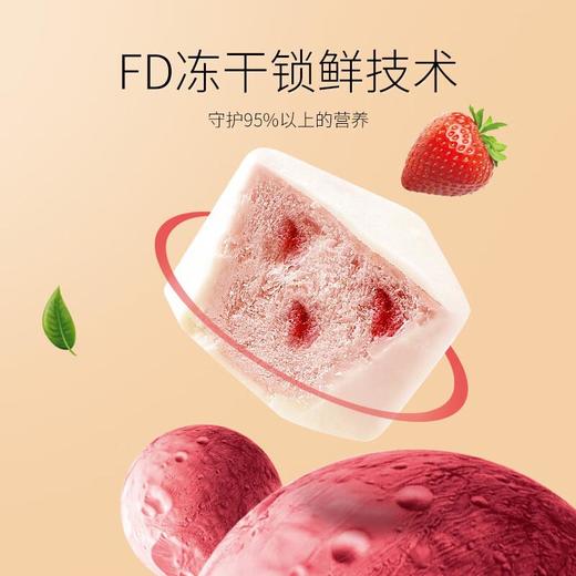 中宝涂层冻干蓝莓酸奶38g 商品图2