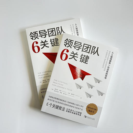 领导团队6关键 商品图3