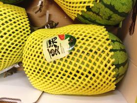 夏沃西瓜一个（拼团）