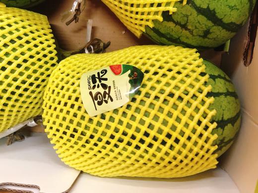 夏沃西瓜一个（拼团） 商品图0