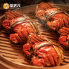 蟹状元豪华四对装2388型雄蟹5.0两/4只雌蟹3.5两/4只 商品缩略图6