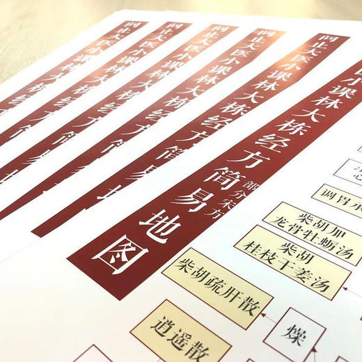 林大栋经方简易地图 商品图3