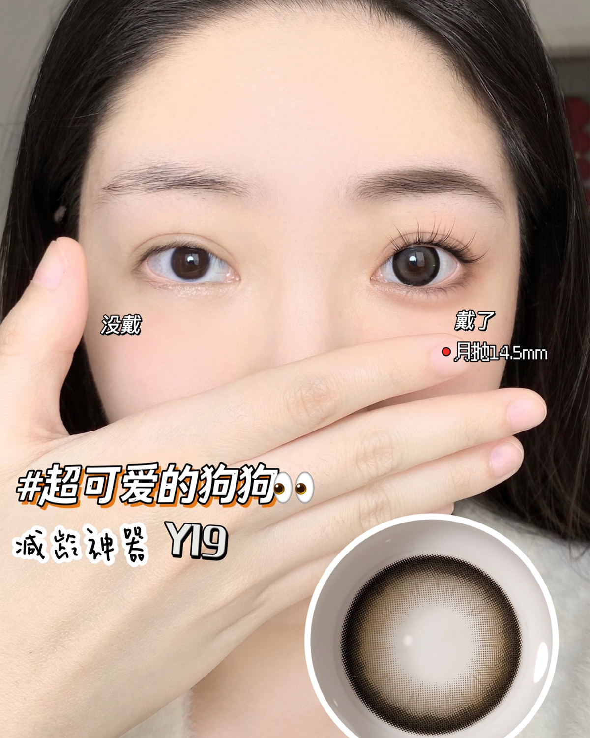 （月抛）Lillilly Y-19麻薯团 14.5mm 着色14.0mm