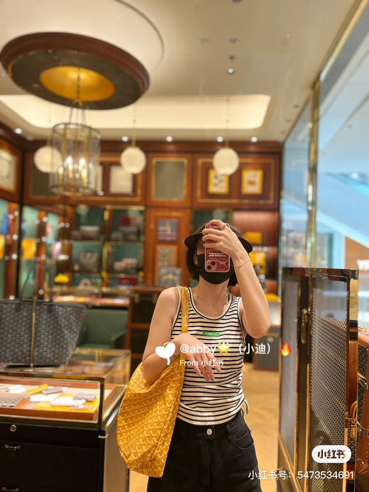 goyard hobo拉链托特-落日黄 商品图3