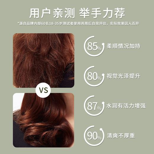 【分销专用】菲诗蔻桉树洗发水发膜  去屑止痒控油无硅油氨基酸持久留香 商品图2