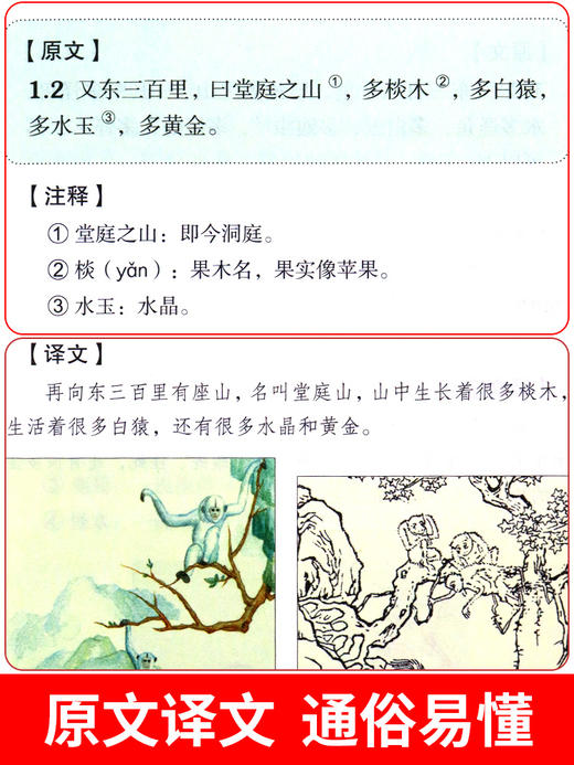 写给孩子的山海经全套4册原著全册必读正版儿童读的懂得彩绘版小学生版阅读书籍适合三四年级上册至五六看的课外书初中漫画故事书 商品图3