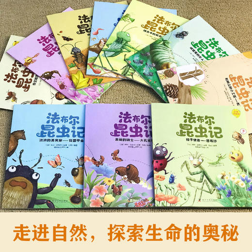 法布尔昆虫记全10册 法布尔昆虫记注音版彩绘 走进自然探索生命的奥秘 昆虫记法布尔三年级课 儿童科普绘本畅销书籍 商品图3