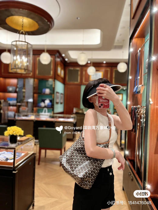 goyard hobo拉链托特-棕色 商品图2