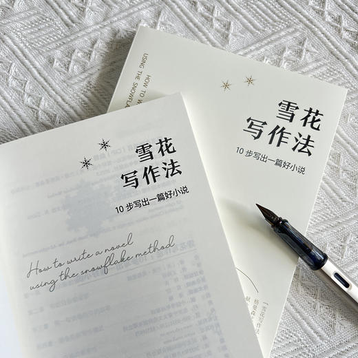 雪花写作法：10步写出一篇好小说 商品图4