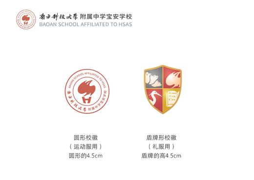 深圳南科大附中（宝安学校）中学校服附校徽 商品图0