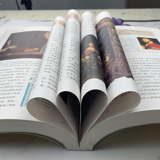 图解世界名画 乔会根 著/名画档案 简介欣赏 绘画知识艺术 历史 文化解读世界名画的精髓书籍包邮中国华侨出版社 商品图3