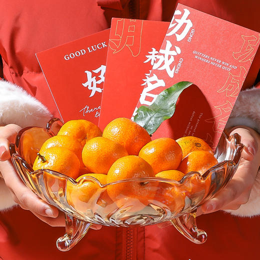 「质感满满！一用便知」水果盘北欧风格居家日用现代客厅茶几零食盘子创意水晶玻璃糖果盆轻奢 商品图0