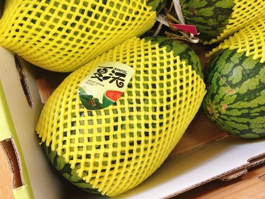 夏沃西瓜一个（拼团） 商品图1