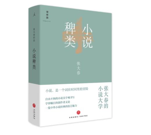《小说稗类》张大春 著#此商品参加第十一届北京惠民文化消费季 商品图0