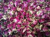 【推荐】酵素玫瑰花茶 、生态种植、人工除草、200多项农残检测 商品缩略图4