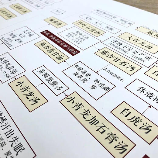 林大栋经方简易地图 商品图1