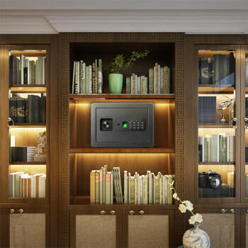 得力（deli）保险柜 家用办公指纹密码保险箱小型隐藏保密柜入墙入柜私密箱 财务专用25cm曜黑 商品图1