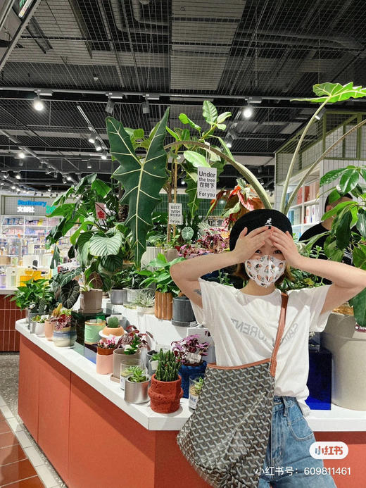 goyard hobo拉链托特-棕色 商品图3