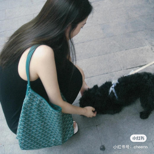 goyard hobo拉链托特-绿色 商品图4