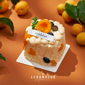 予你“杏”福 · MINI奶糕