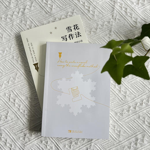 雪花写作法：10步写出一篇好小说 商品图2
