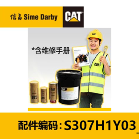 2000H自主维护保养包 307E-H1Y (1-2499)