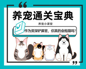 作为资深铲屎官，你真的会抱猫吗？
