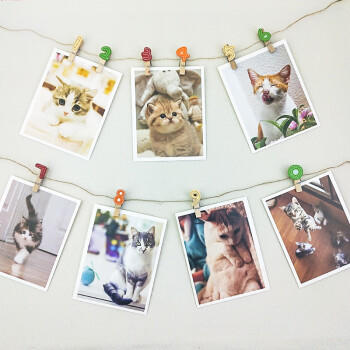 芬尚 JZ008 韩版数字卡通彩色木夹照片夹幼儿园教室照片挂墙装饰便签麻绳夹套装留言夹14个装（含麻绳约2米） 商品图3