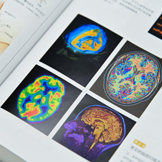津巴多普通心理学（第8版） + 大癫狂 非同寻常的大众幻想与群体性疯狂  套装两册 商品图11