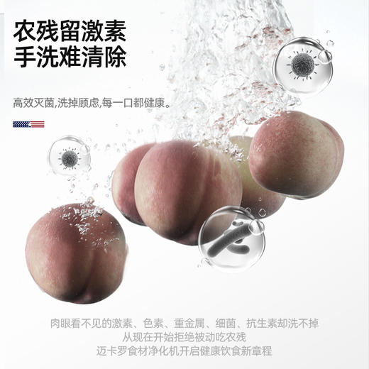 迈卡罗 （MACAIIROOS）)果蔬清洗机家用壁挂洗菜机食材净化机器蔬菜水果鱼肉虾去农药残 MC-QX113 商品图2