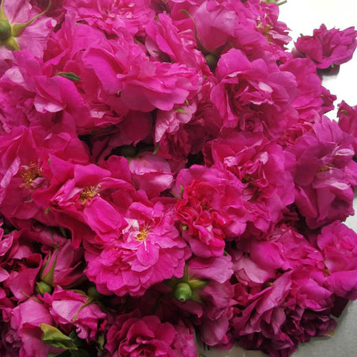 【推荐】酵素玫瑰花茶 、生态种植、人工除草、200多项农残检测 商品图3